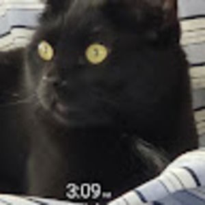 Meet your Posher, Susan